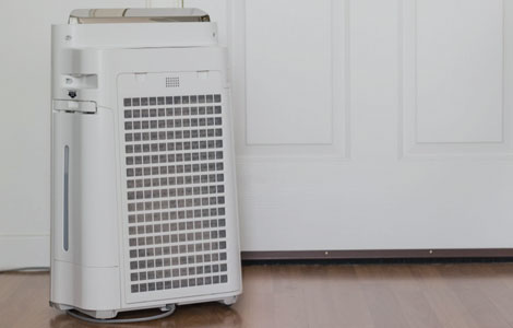 Air Purifying Tactics for Homeowners