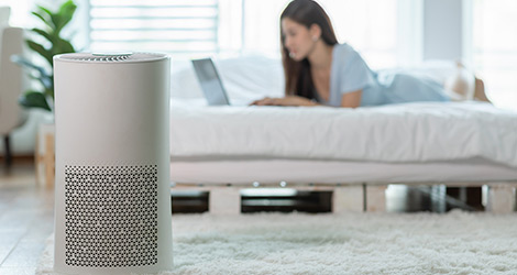 Myths About Air Purifiers You Should Stop Believing