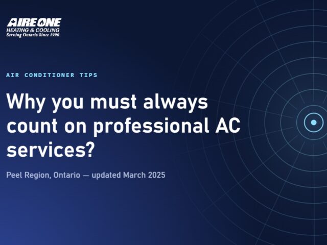 Why you must always count on professional AC services?